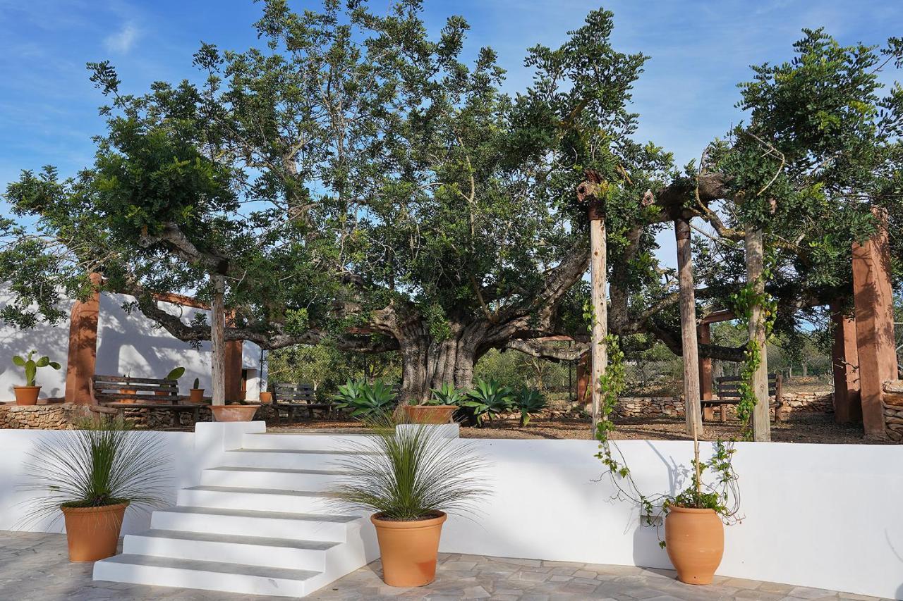 Villa Can Vicent Σαν Αντόνιο Εξωτερικό φωτογραφία